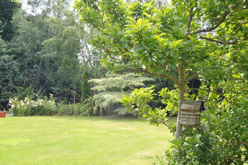 Beechwood Country House Vendégház Malahide Kültér fotó
